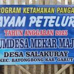 BUMDes Salakuray Sukses Kembangkan Ayam Petelur, Warga Nikmati Telur Murah dan Lapangan Kerja Baru
